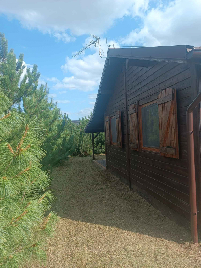 Sprzedam domek letniskowy nad jeziorem Powidzkim Kosewo - zdjęcie 2