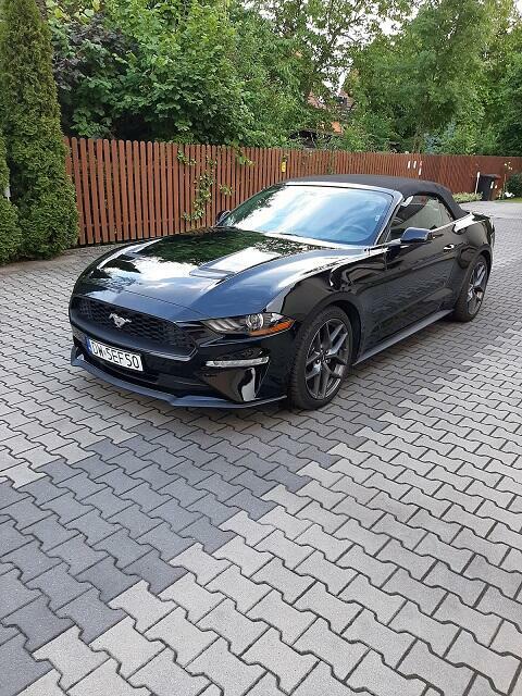 Mustang Kabriolet, bezwypadkowy, 317 KM, czarny Wrocław - zdjęcie 2