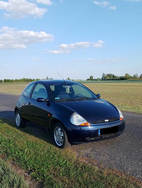 Ford KA |Długie Opłaty| |Stan Bardzo Dobry| |Niski Przebieg| Witowo - zdjęcie 1