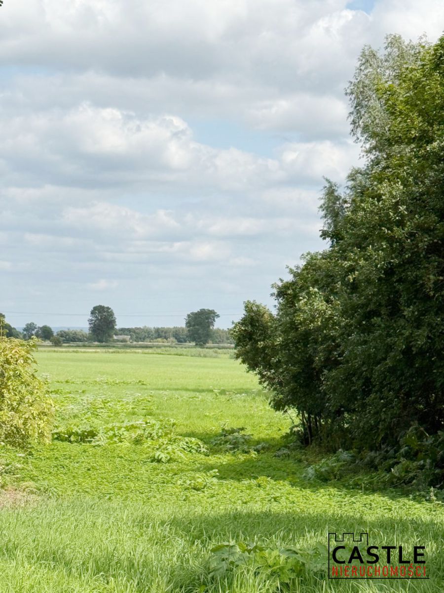 10 km od Stegny I przy wale Tugi I pod stadninę Stobiec - zdjęcie 3
