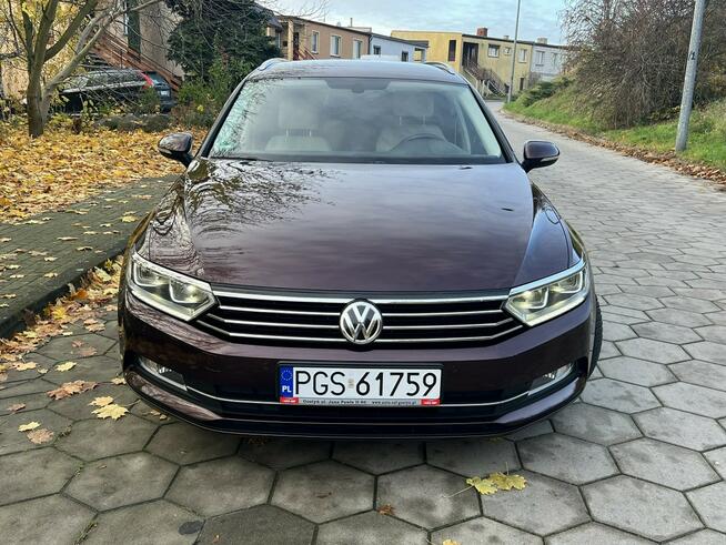 Volkswagen Passat Zarejestrowany Bogata wersja TOP Gostyń - zdjęcie 2