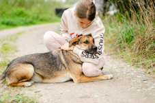 Bąbel - od szczeniaka niekochany...Łagodny psiak szuka domu! Olsztyn - zdjęcie 2