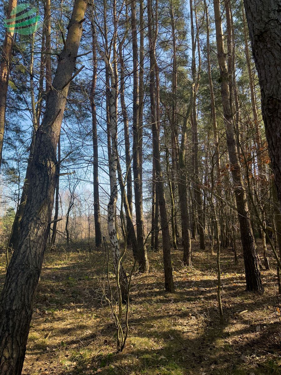 Działka rolna z możliwością realizacji zabudowy za Kanin - zdjęcie 8