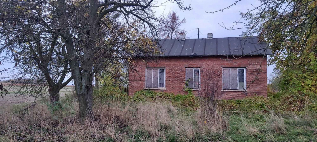 Gospodarstwo rolne Przymiłów - zdjęcie 4