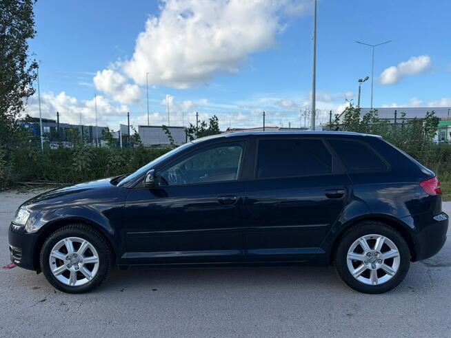 Audi A3 Climatronic   wymieniony rozrząd ledy xsenon automat navi Lębork - zdjęcie 5