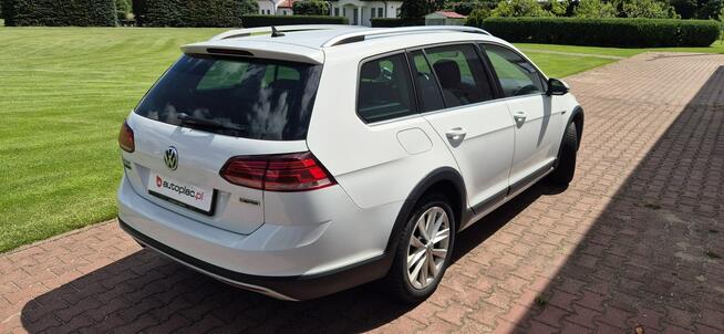 Volkswagen Golf Alltrack Zarejestrowany Paproć - zdjęcie 9