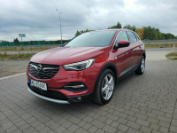 Opel Grandland X Lipówki - zdjęcie 5