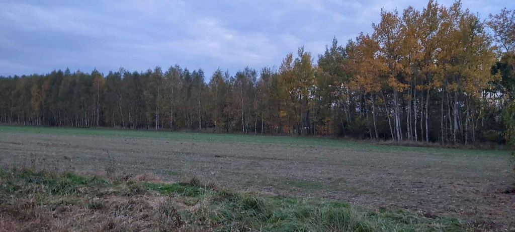 Gospodarstwo rolne Przymiłów - zdjęcie 4