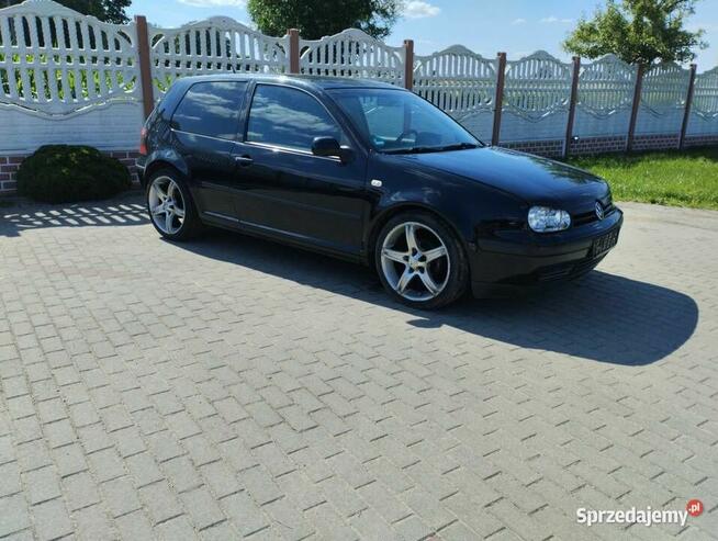 Vw Golf 4 1.6 SR 1999 Sicienko - zdjęcie 2