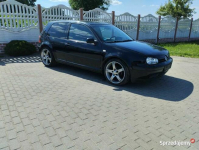 Vw Golf 4 1.6 SR 1999 Sicienko - zdjęcie 2