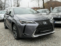 Lexus UX 250 Hybrid    Ful LED Premium Łodygowice - zdjęcie 2