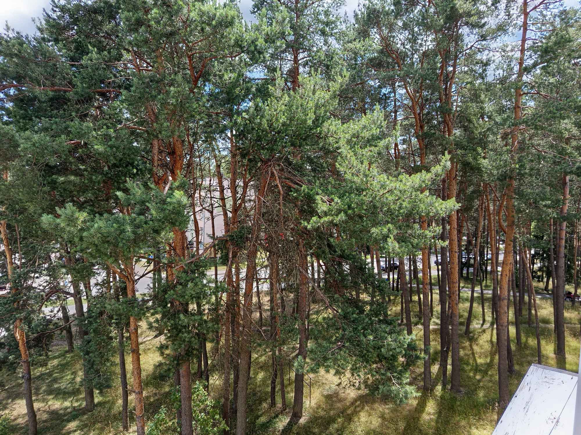 Sprzedam mieszkanie w bloku. Czarna Białostocka - zdjęcie 5