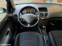 Peugeot 206 plus Chodzież - zdjęcie 9