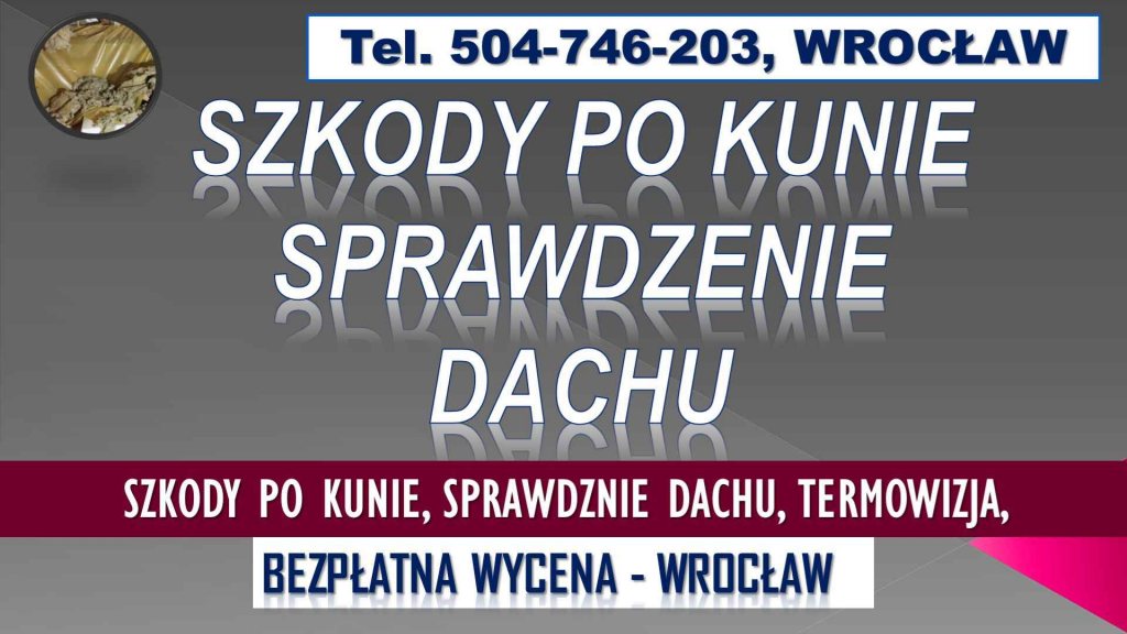 Szkody po kunie, sprawdzenie dachu, tel. 504-746-203, naprawa szkód, Psie Pole - zdjęcie 1