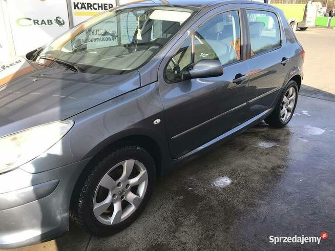 Peugeot 307 rok 2007 DCI Zendek - zdjęcie 3