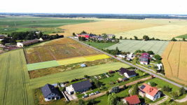ZNAKOMITA DZIAŁKA, LOKALIZACJA! Tarnowo Podgórne - zdjęcie 9