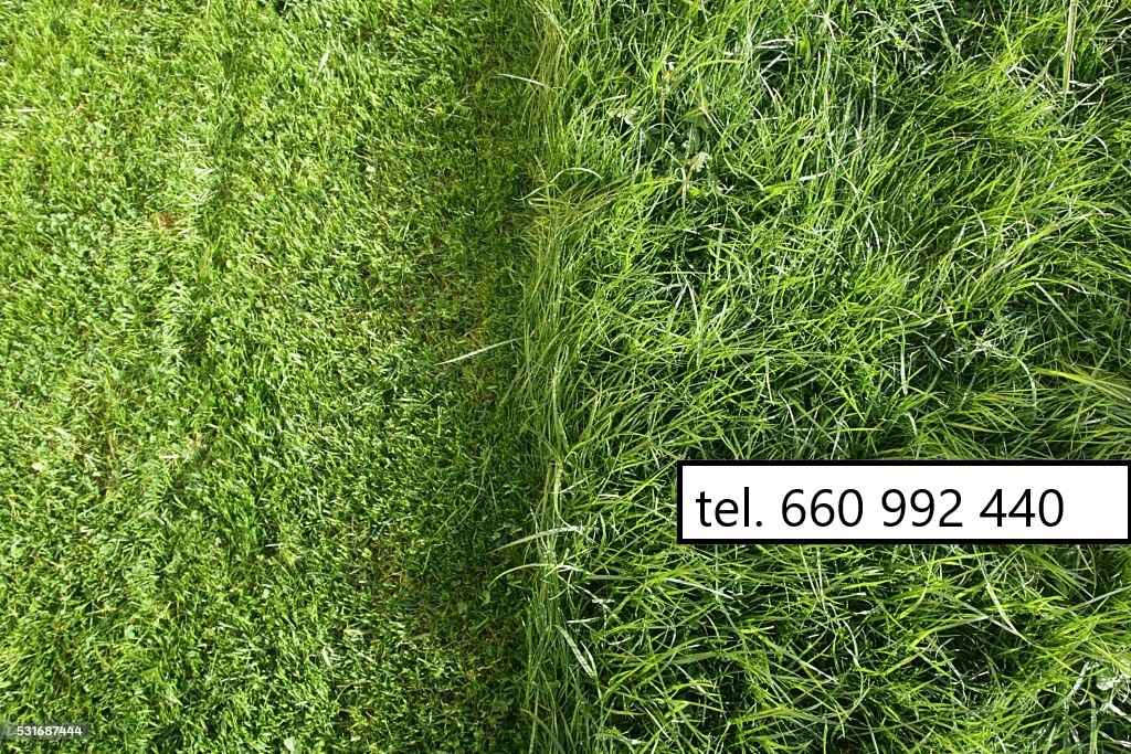 Koszenie trawników, jesienne prace ogrodowe Gdańsk - zdjęcie 3