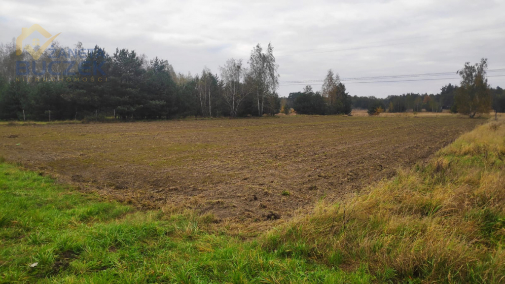 Sprzedam działkę w Budkach Żelazowskich, z MPZP Budki Żelazowskie - zdjęcie 2