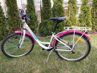 Rower Saveno koła 24'