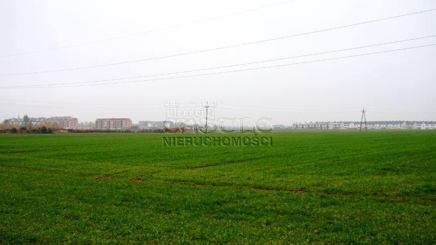 Tylko teraz TAKA CENA. Zalasewo - zdjęcie 7