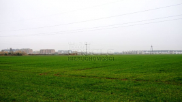 Tylko teraz TAKA CENA. Zalasewo - zdjęcie 7