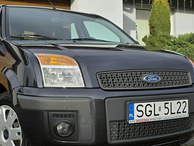 Ford Fusion I-właściciel, krajowy, bezwypadkowy Rydułtowy - zdjęcie 6