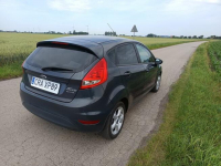 Ford fiesta mk7 Radziejów - zdjęcie 3