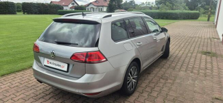 Volkswagen Golf Paproć - zdjęcie 7