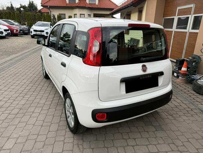 Fiat Panda 1,2 69KM  Klimatyzacja Orzech - zdjęcie 9