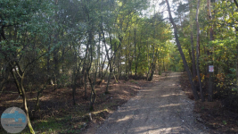 Atrakcyjna działka budowlana blisko lasu Kałuszyn - zdjęcie 3