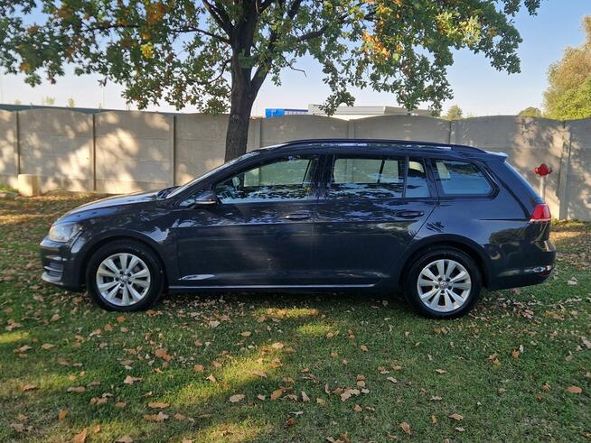 Volkswagen Golf 1.6tdi Mod.2017 Salon Polska Raty Zamiana Strobice - zdjęcie 3