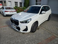 BMW X1 Salon Pl / I Wł / M Pakiet / 42000 KM /
