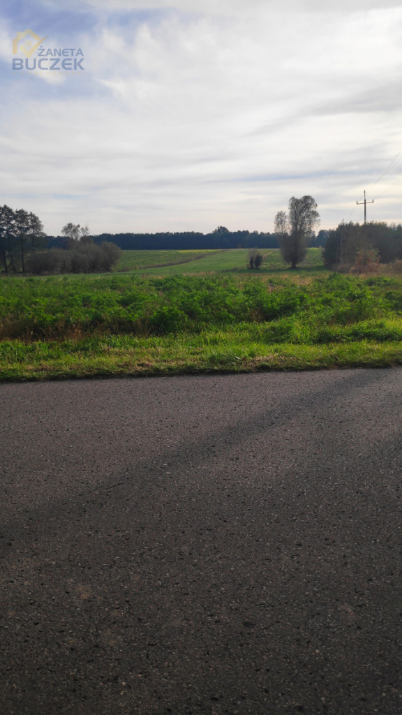 Sprzedam działkę z WZ w Nowych Mostkach Nowe Mostki - zdjęcie 2