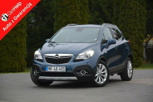 Innovation bi-Xenon Ledy Skóry Grzana Kier Kamera 2xPar Aso Opel