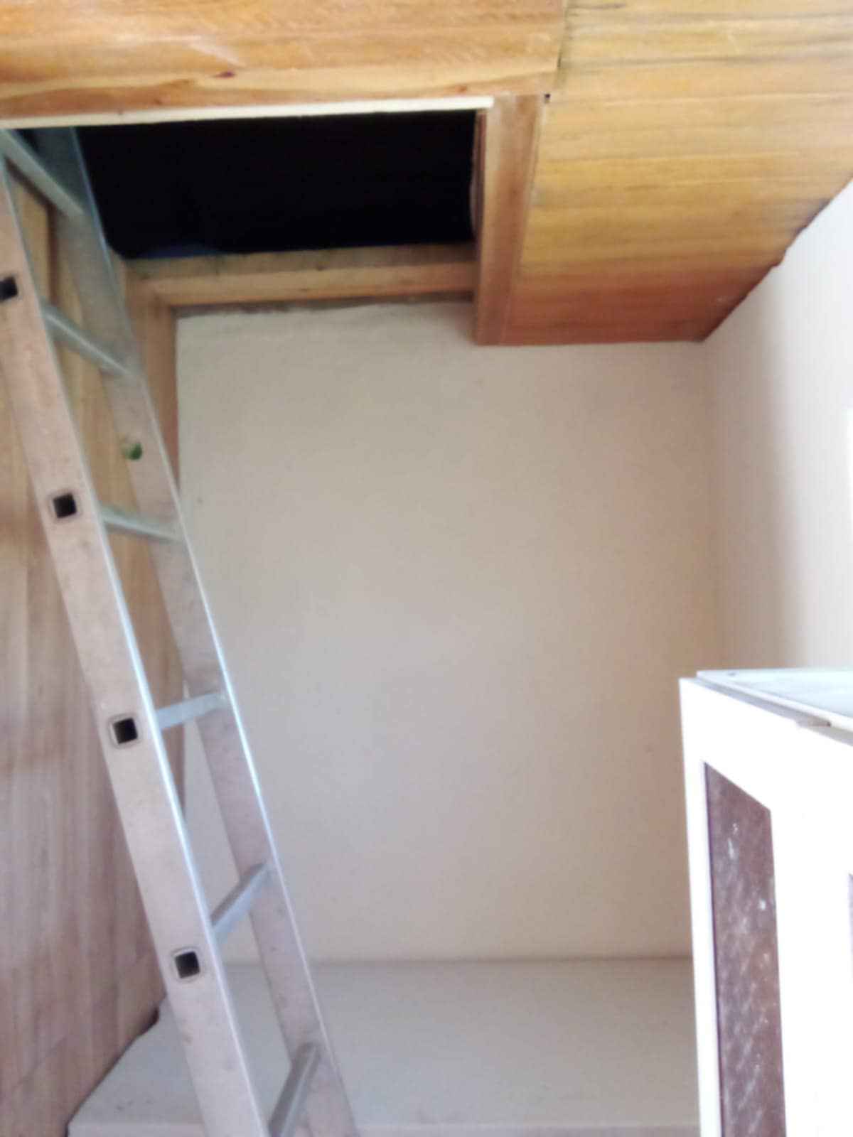 Sprzedam prawo do dzierżawy działki ROD Jeżyny – Wrocław Osobowice Śródmieście - zdjęcie 4