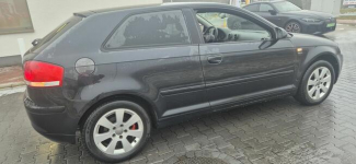 AUDI A3 HATCHBACK 8P 1900 TDI !!! Głogów - zdjęcie 2