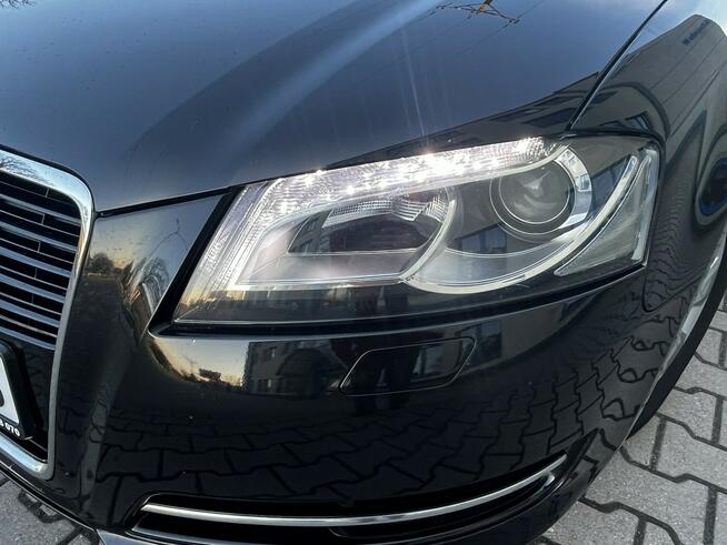 Audi A3 Lift 1.6Tdi 2012r Xenon Led Sportback Alufelgi Hak Climatronic Sokołów Podlaski - zdjęcie 9