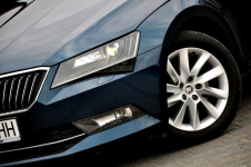 Škoda Superb Salon Polska Bezwypadkowy 190 KM 4x4 DSG Ostrów Mazowiecka - zdjęcie 6