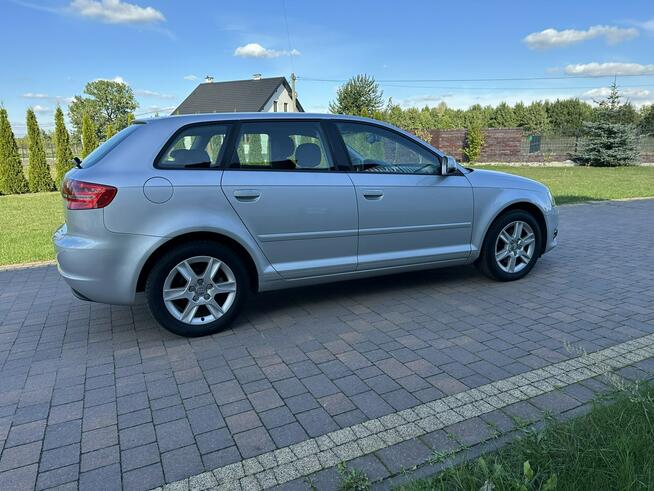 Audi A3 Lipówki - zdjęcie 11