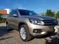 Tiguan Lesko - zdjęcie 2