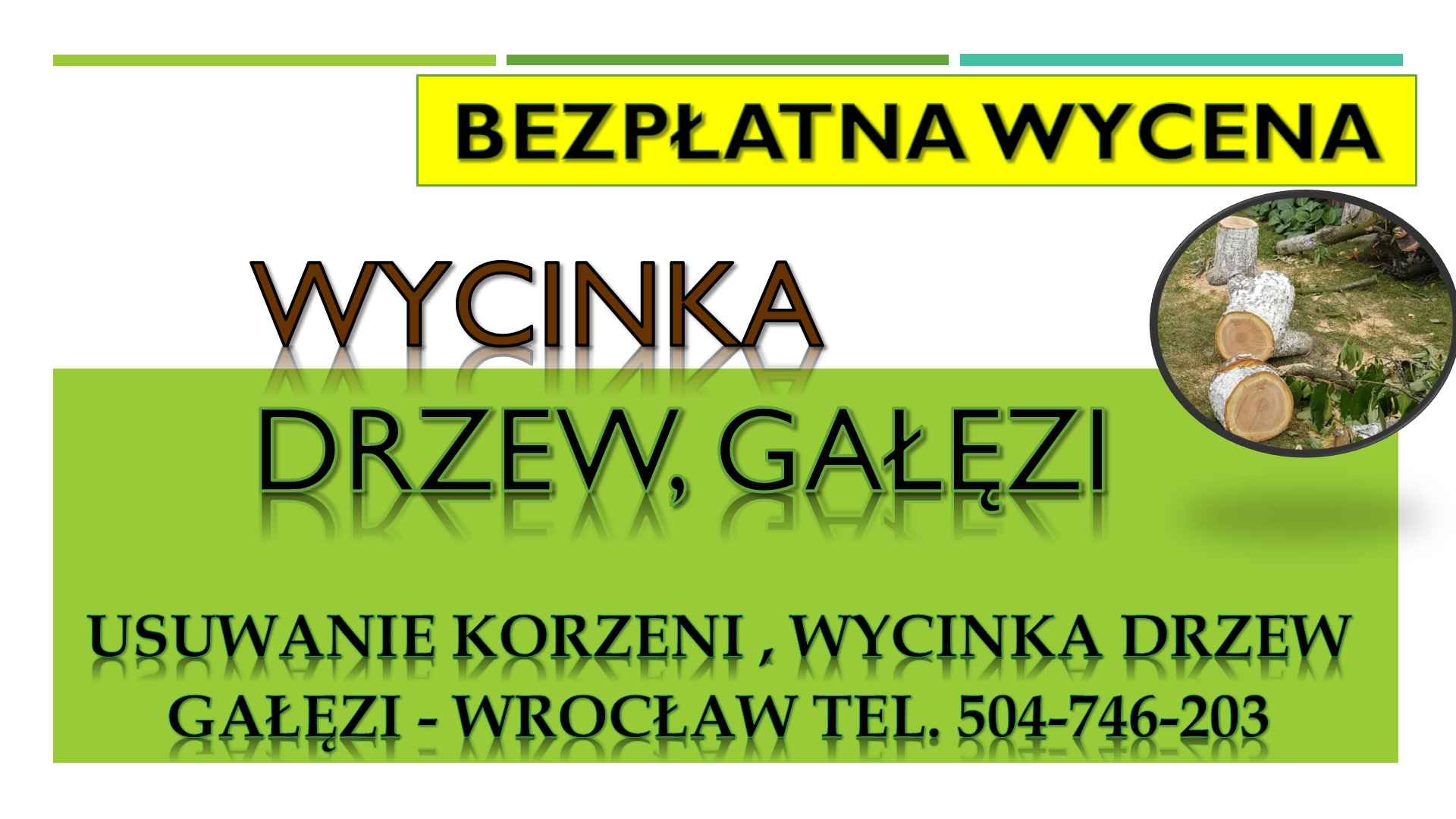 Usuwanie korzeni, cennik , tel. 504-746-203. Wrocław. pni, pnia drzewa Psie Pole - zdjęcie 3