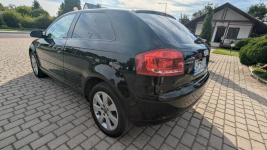 Audi A3 Biała - zdjęcie 5