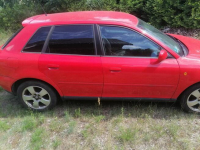 Audi Zboże - zdjęcie 4