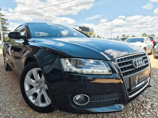 A5 2.0 TDI 170 KM hak SKÓRA xenon NAVI klima SERWIS 2010 Tychy - zdjęcie 2
