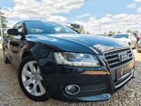 A5 2.0 TDI 170 KM hak SKÓRA xenon NAVI klima SERWIS 2010 Tychy - zdjęcie 2