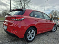Hyundai i30 1.5 Benzyna**Polski Salon**68oookm**2020**Jak Nowy**Navi** Łosino - zdjęcie 2