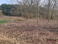 Zamieszkaj w sąsiedztwie lasu Mieściska - zdjęcie 9