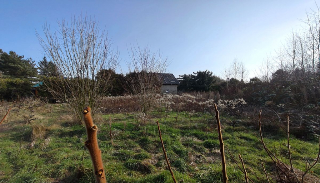 Działka nad jeziorem. Strykowo - zdjęcie 6