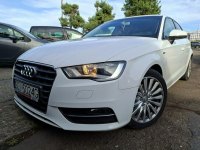 Audi A3 Klimatronic 2-stref, Podgrz. fotele, Nawigacja, 2 kpl. kół Cieszyn - zdjęcie 2