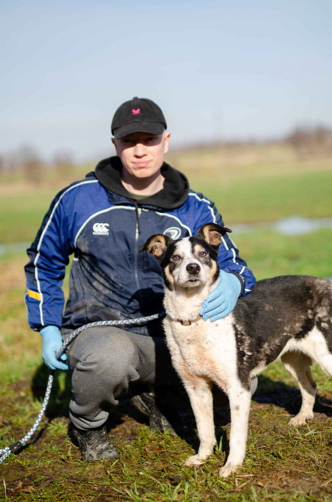 Pepsi - przyjazna, wesoła sunia błaga o dom! Olsztyn - zdjęcie 2